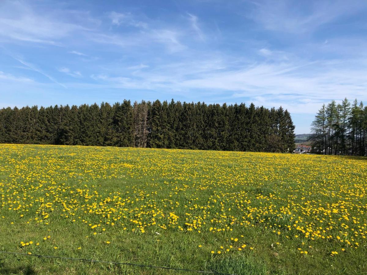 Ferienwohnung Am Wald Hachenburg Εξωτερικό φωτογραφία